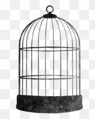 Black Cage Png Clipart Background Real - Bird In Png