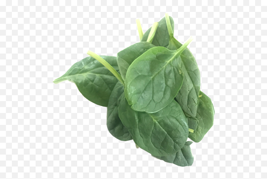 Spinach Transparent Png Image - Baby Spinach Png,Spinach Png