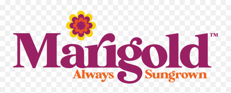 Featured Brands Marigold - Sunflower Png,Marigold Png