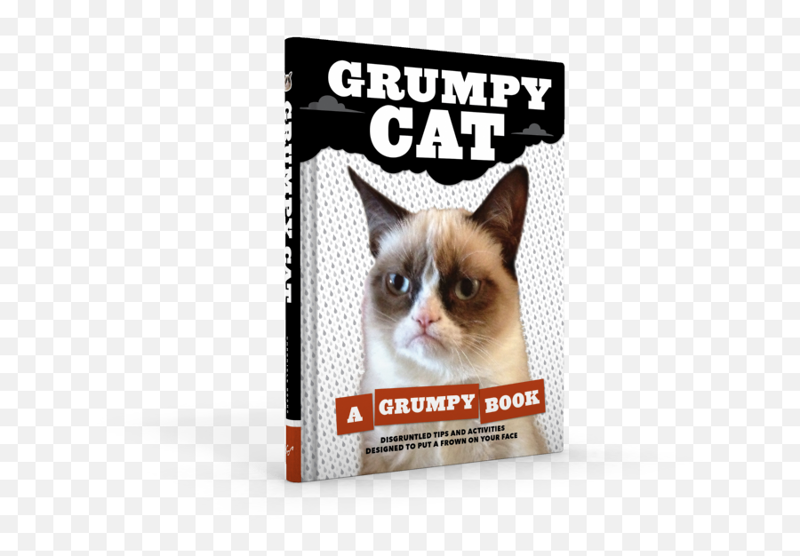 Grumpy Cat Png - Snowshoe,Grumpy Cat Png