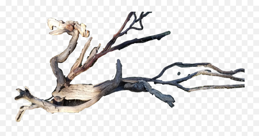 Drift Wood - Dry Png,Driftwood Png