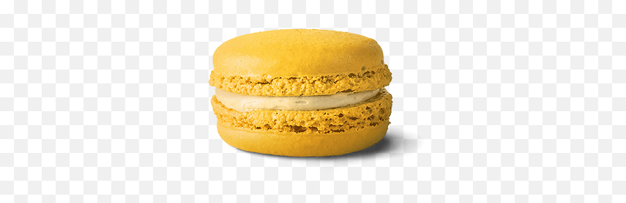 Chocolate Macaron - Maccas Macarons Png,Macaron Png