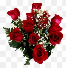 Dozen Roses Brugmans Deli - Day Png,Red Roses Png