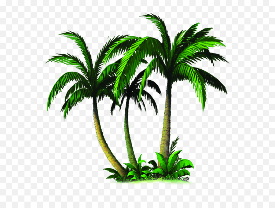 Download Palm Tree Emoji Transparent - Palm Tree Emoji Transparent Png,Palm Tree Emoji Png
