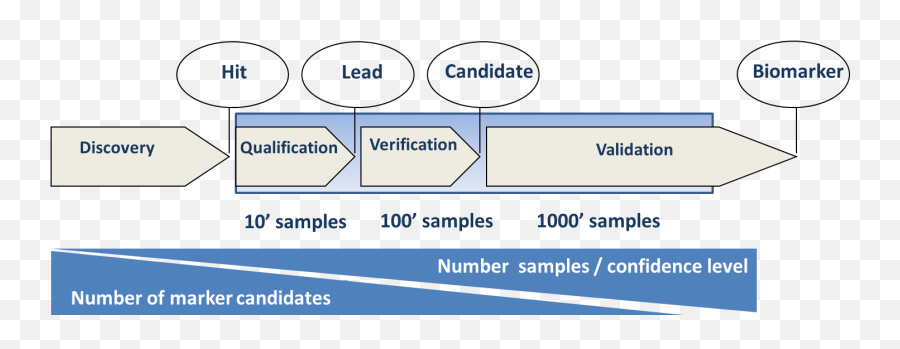 Cancer Biomarkers Fournier - Majoie Foundation Biomarker Development Stages Png,Hit Marker Png