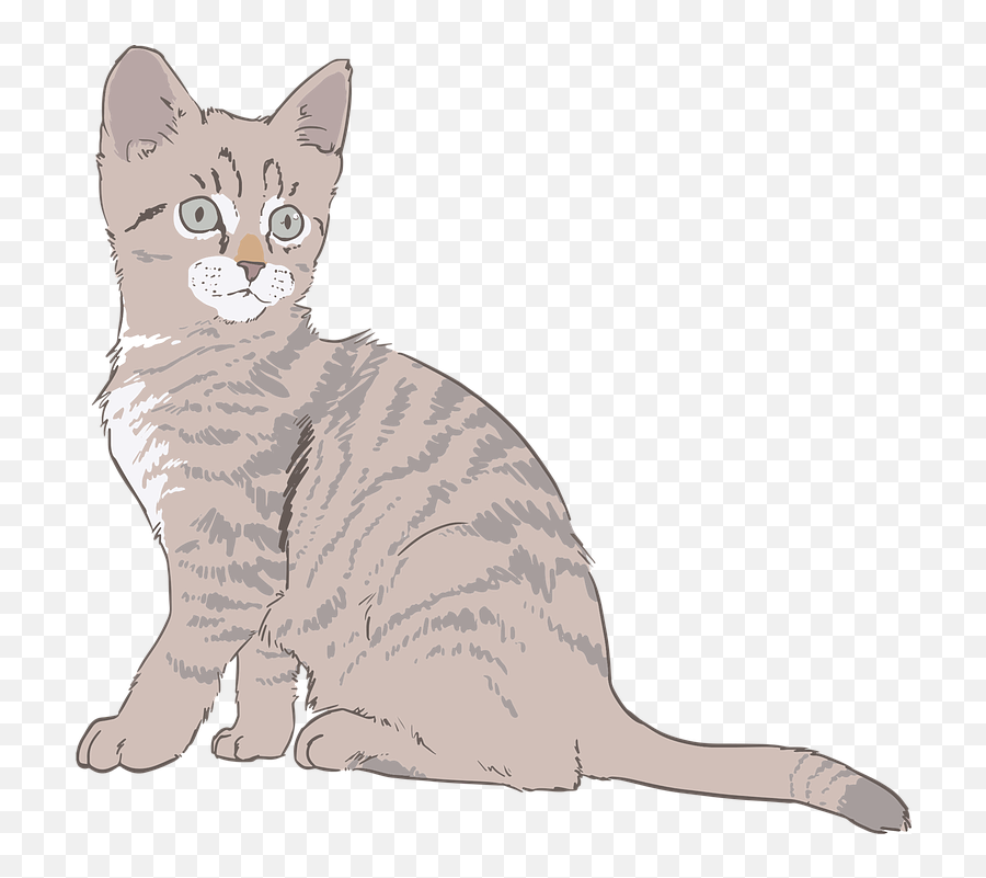 Line Art Fur Kitty - Cat Drawing Transparent Background Png,Cat Lineart Transparent