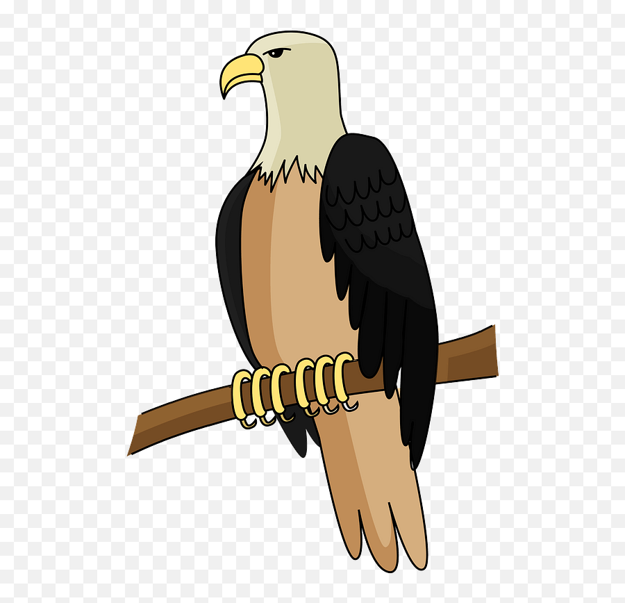 Bald Eagle Clipart Free Download Transparent Png Creazilla - Bald Eagle,Eagle Clipart Png