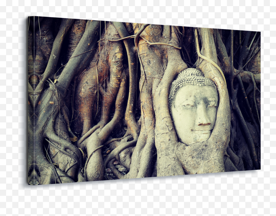 Download Hd Buddha Tree Root Canvas Amp Glass Wall Art - Ayutthaya Historical Park Png,Tree Root Png