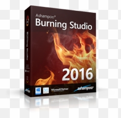 2011 - Horizontal png