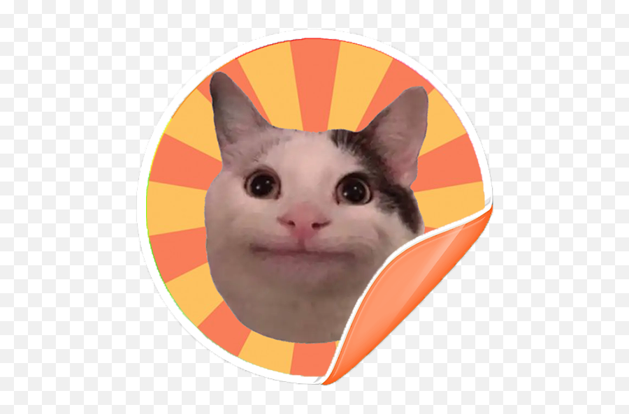 Cat Memes Stickers For Whatsapp - Meh Cat Png,Cat Meme Icon