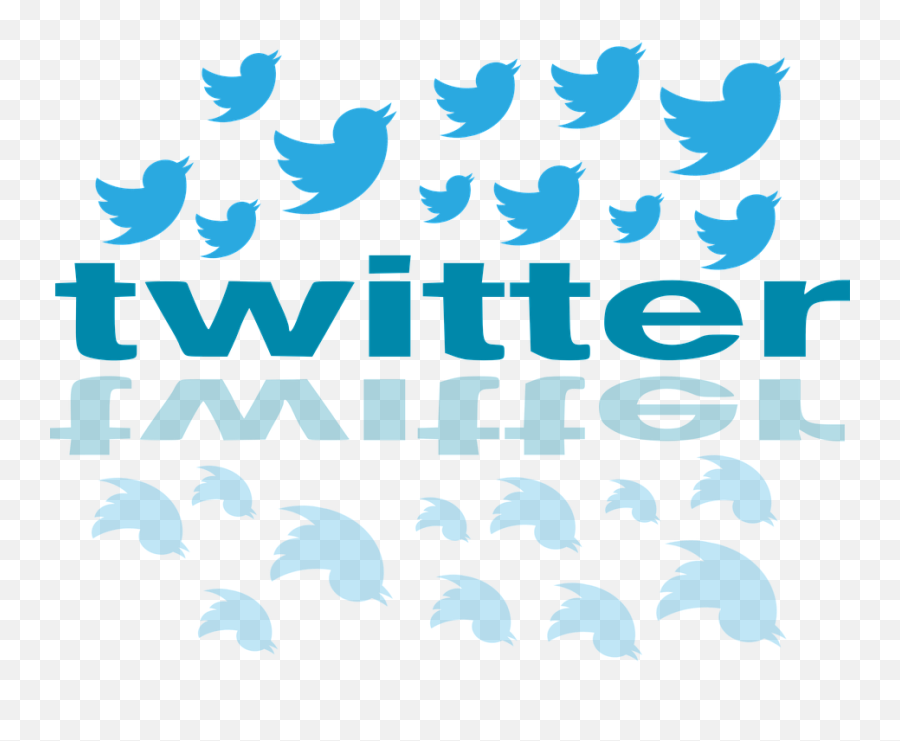 Twitter Tweet Icon Logo Public Domain Image - Twitter Bird Shot Png,Twitter Icon Images