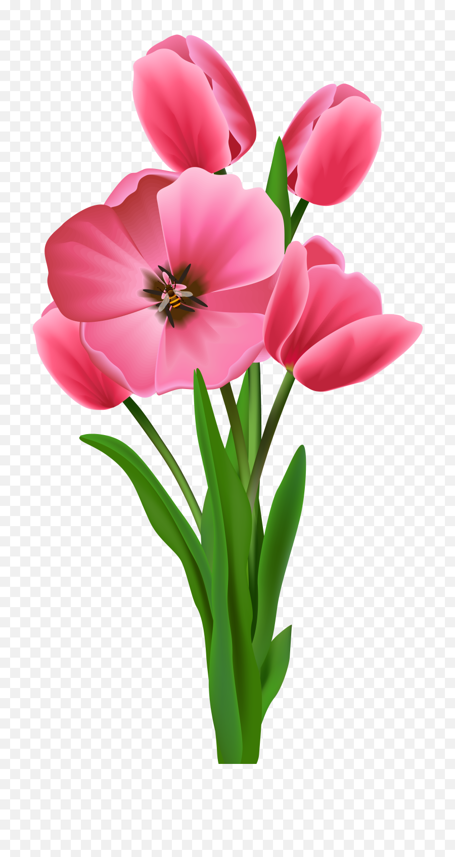 Tulips Transparent Png Image Flower Drawing Tulip Flower Png Tulip Transparent Free Transparent Png Images Pngaaa Com