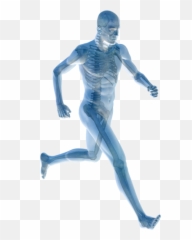 Human Body Joint Pain Management - Png