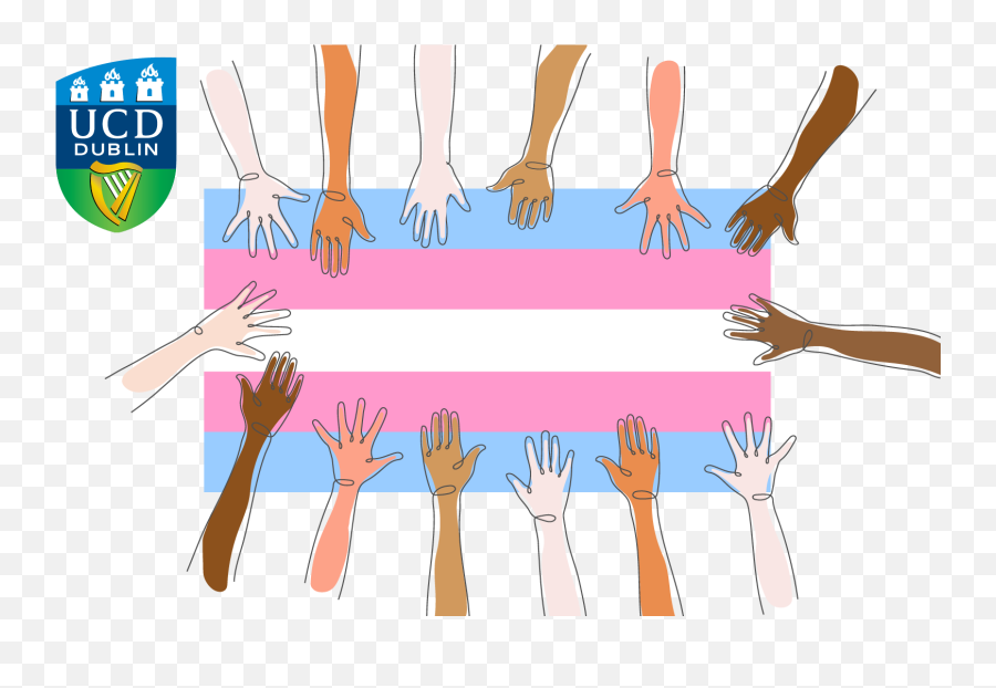 Equality Diversity And Inclusion Downloads - Language Png,Trans Flag Icon