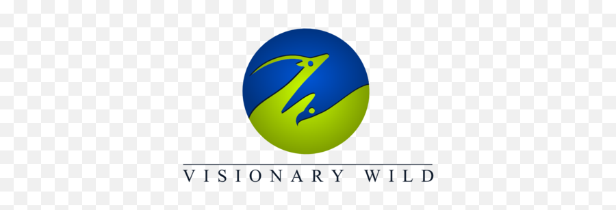 Page 2 - Business Logo Visionary Wild By Mountainpix Language Png,Visionary Icon