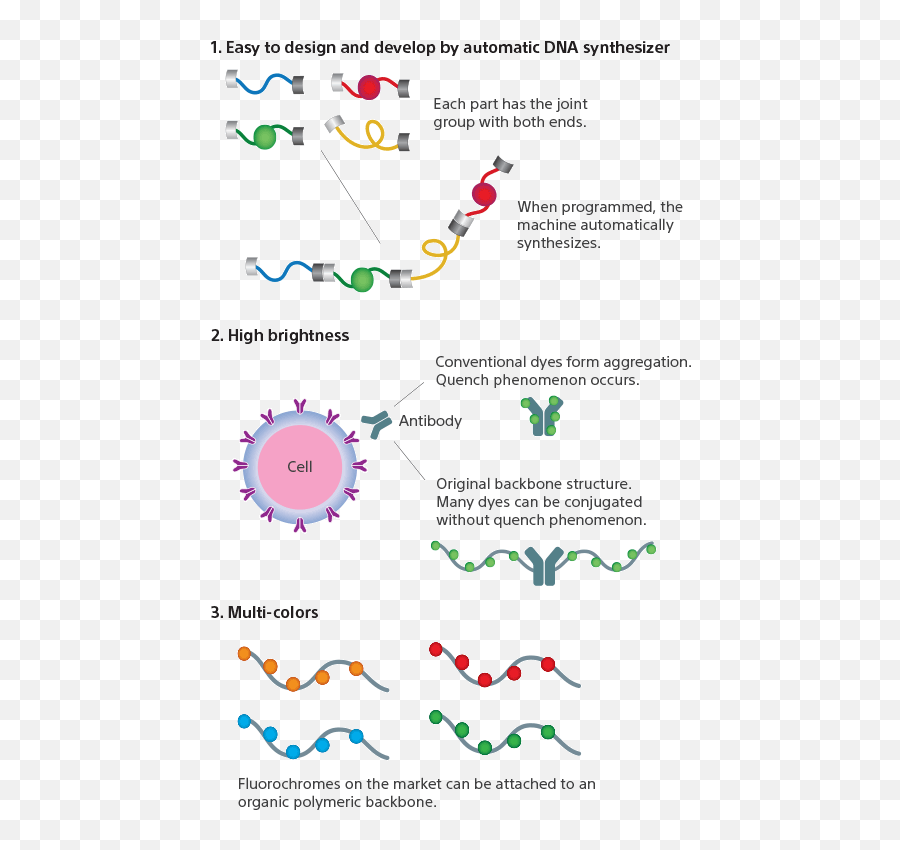 Novel Fluorescent Dyes By Design Using A Dna Synthesizer Png Flourecent Icon Circle