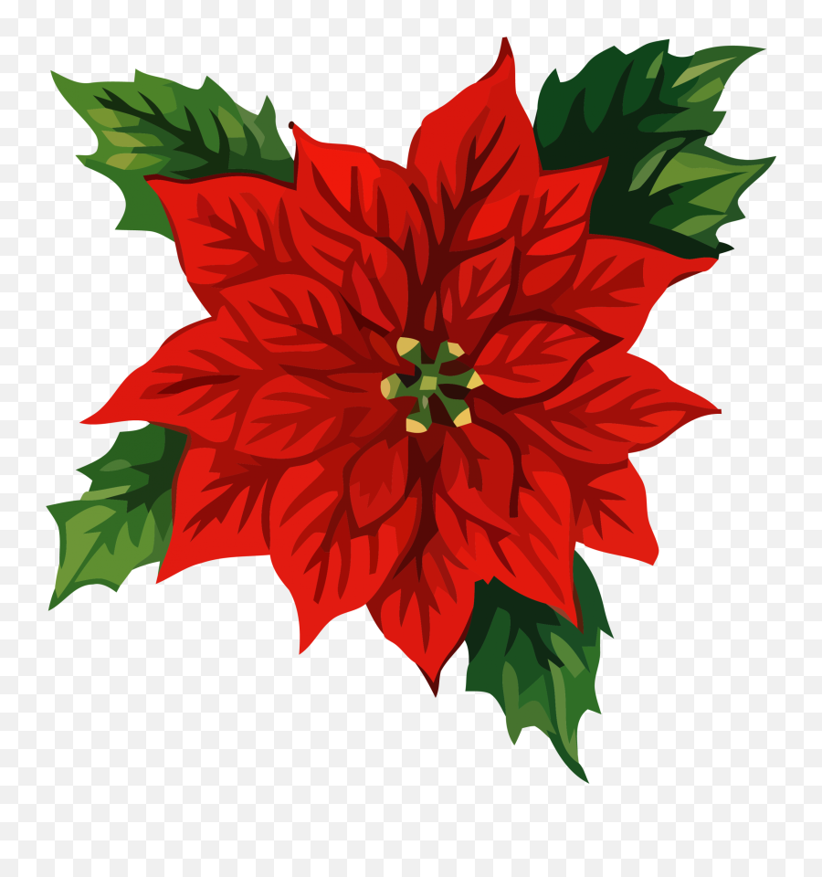 Christmas Front Flower Clipart Png U2013 Clipartlycom - Christmas Flower Clip Art,Poinsettia Png