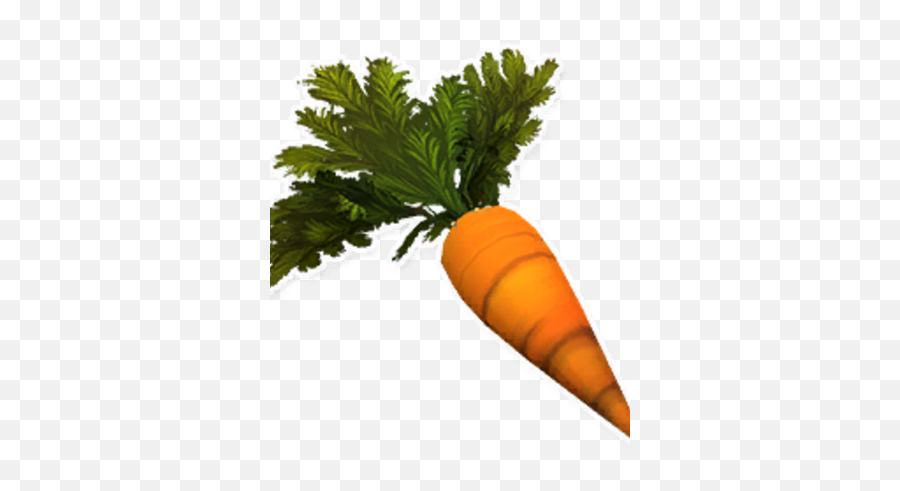 Carrot - Garden Carrot Png,Carrots Png