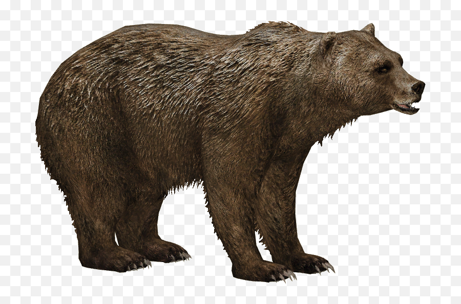 Download Grizzly Bear - Short Faced Bear Png,Grizzly Bear Png