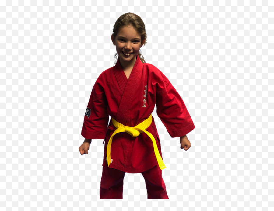 Kung Fu Transparent Png - Kung Fu,Kung Fu Png