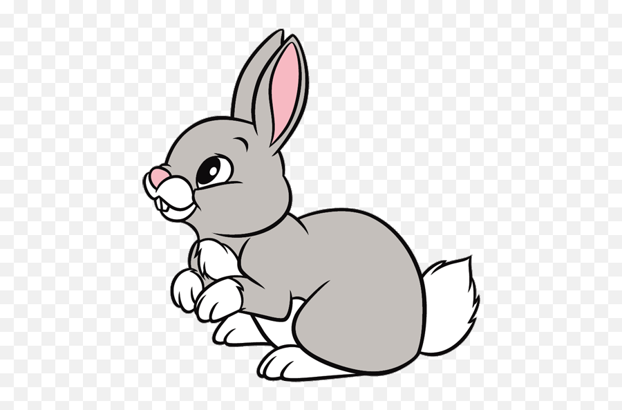 Animal Clipart Rabbit Transparent Free For - Rabbit Clipart Png,Rabbit Transparent