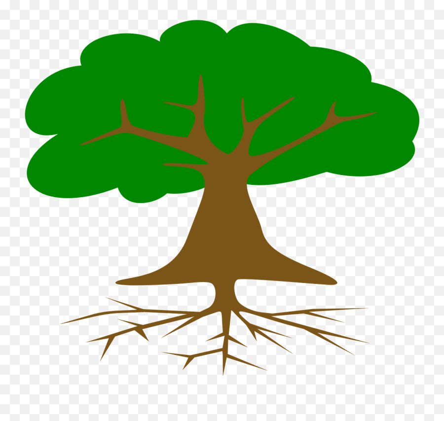 Tree Roots Leaves Cross - Free Vector Graphic On Pixabay Parts Of Tree In English Png,Tree Roots Png