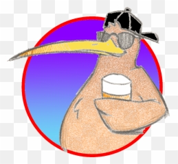 Home - Kiwi Beer Project Clip Art Png,Kiwi Bird Png