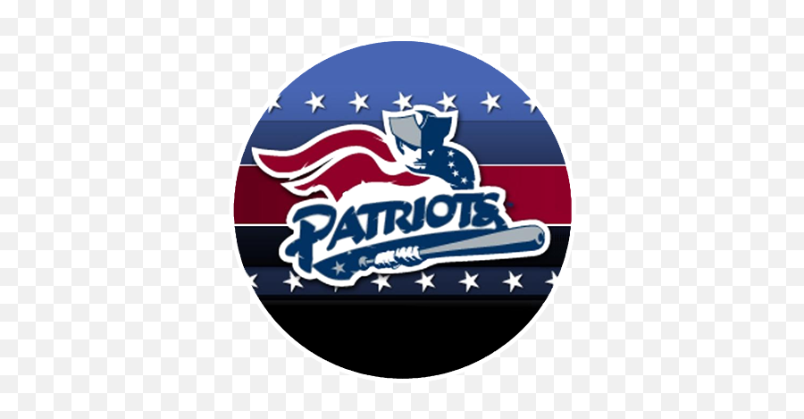Download Boston Patriots Logo - Somerset Patriots Png,Patriots Logo Png
