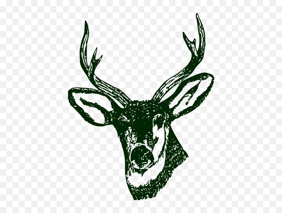 Deer Head Logo - Stag Head Clipart Png,Deer Head Logo