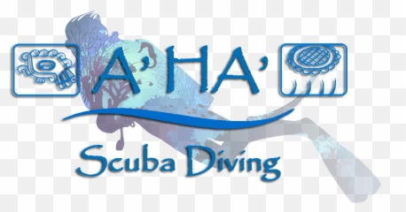 Best Scuba Diving Cancun Cavern Courses Png Diver