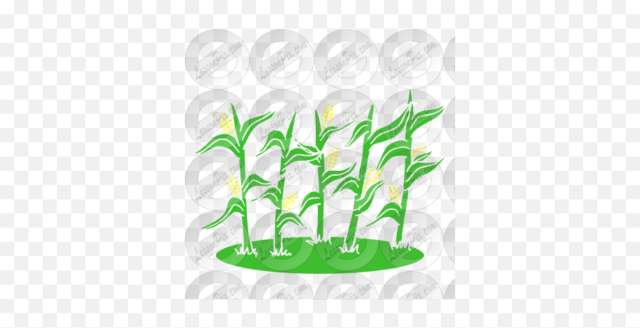 Corn Stalks Stencil For Classroom Therapy Use - Great Corn Illustration Png,Corn Stalk Png
