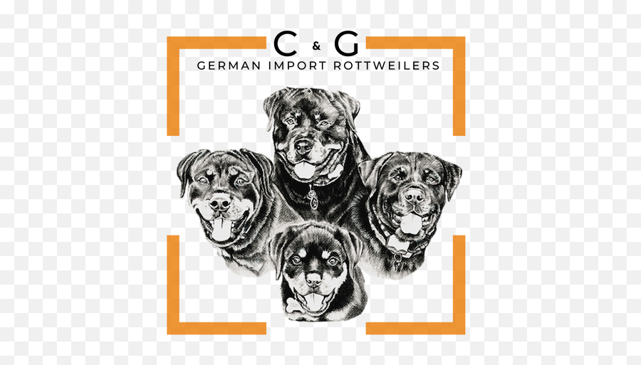 C G German Import Rottweilers Icon - Ancient Dog Breeds Png,Rottweiler Png
