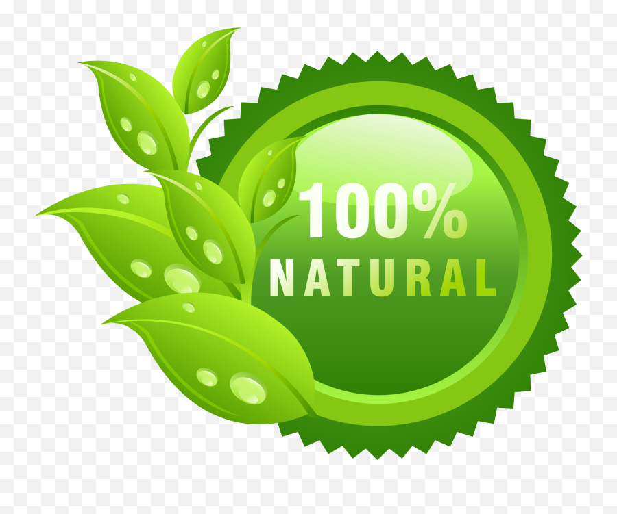 100 percent organic logo design natural healthy Vector Image