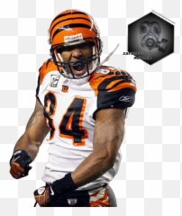 American Football Player Png Image - Tj Houshmandzadeh Bengals,American Football Player Png