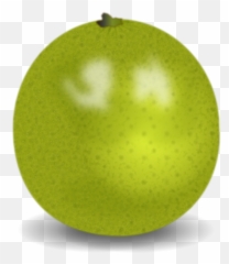 Applecitrusgranny Smith Png Clipart - Royalty Free Svg Png Fresh,Granny Png