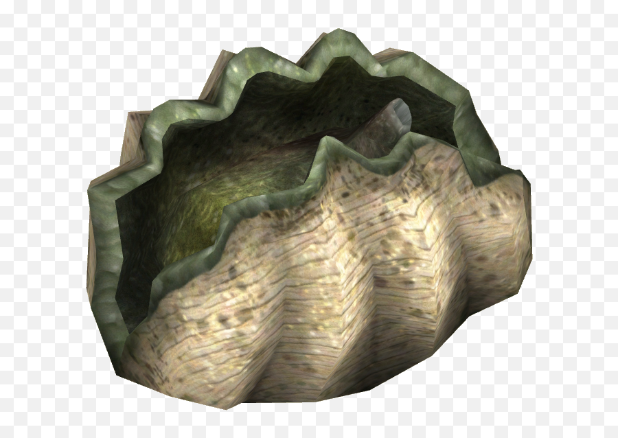 Giant Clam - Giant Clam Png,Clam Png