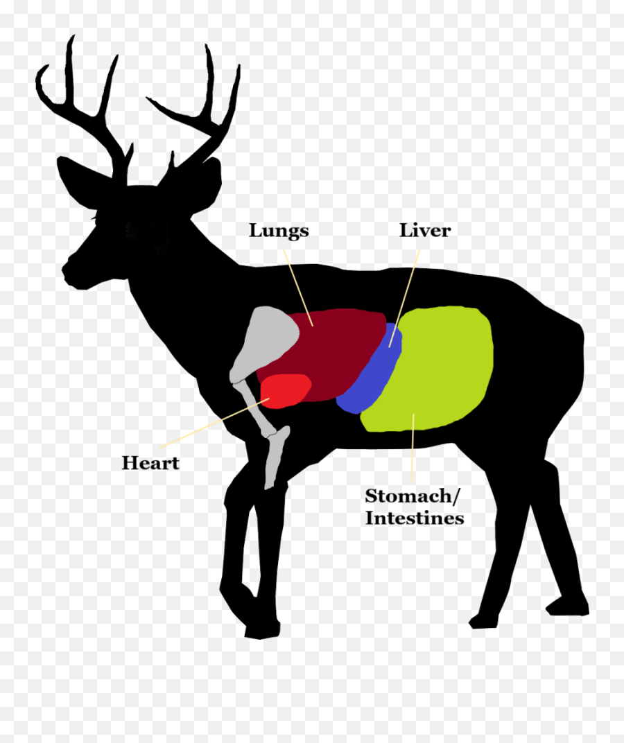 Blood Trailing Deer - White Tail Deer Icon Png,Blood Trail Png