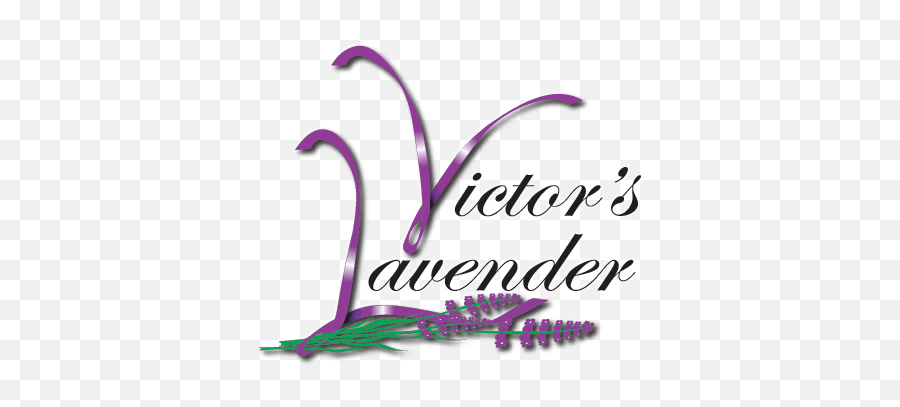 Lavender Farm In Sunny Sequim Washington - Girly Png,Lavender Logo