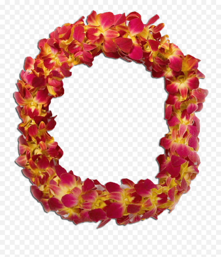 Double Orchid Maroon Lei - Decorative Png,Lei Png