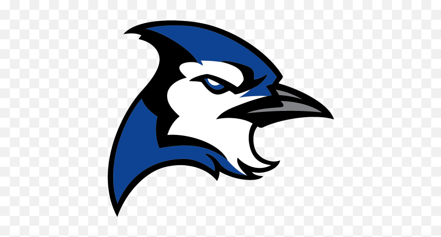 Athleticknit Logos For Your Custom Jerseys And Teamwear Blue Jay Png Blue Jays Logo Png Free Transparent Png Images Pngaaa Com