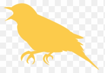 Feather Silhouette - Student Png Download Original Size Songbirds