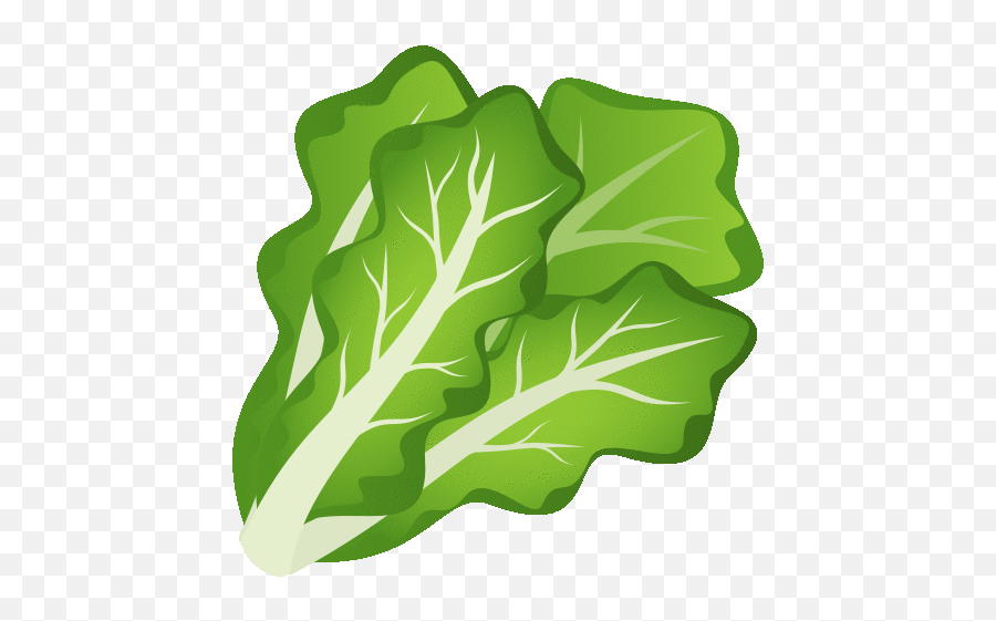 Leafy Green Food Gif - Fresh Png,Leafy Icon