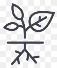 Regenerative Agriculture U2013 Seven Sundays - Dot Png,Regeneration Icon