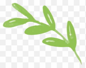 Index Of Wp - contentuploads202012 Fresh png