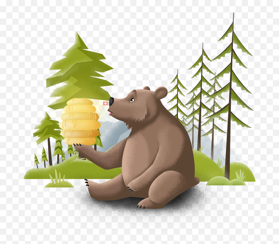 Discover - Grizzly Fi Png,Grizzly Icon