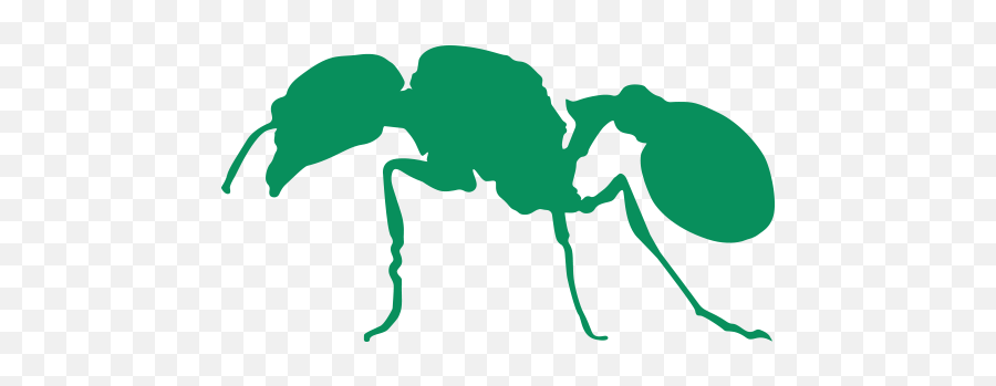 Outdoor Insects Png Ant Icon