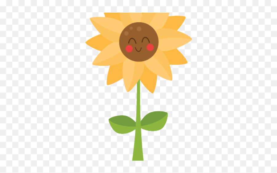 11 Sunflower Clipart Transparent Background Free Clip Art Png