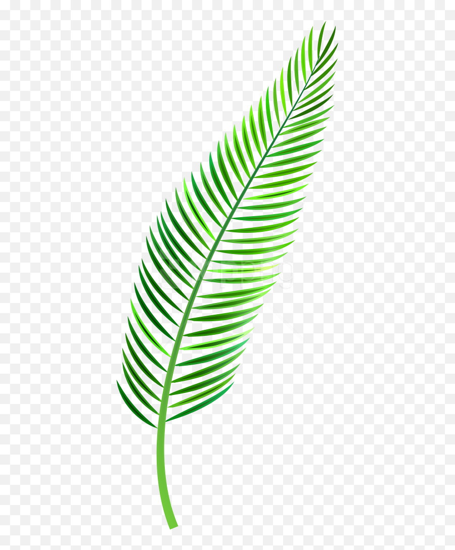 Palm Leaf Png Images Transparent - Watercolor Leaf Of Palm,Palm Leaves Transparent
