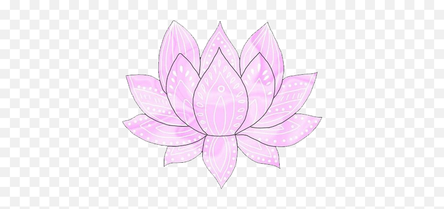 Lotus Flowers Are So Pretty - Sacred Lotus Png,Lotus Flower Png