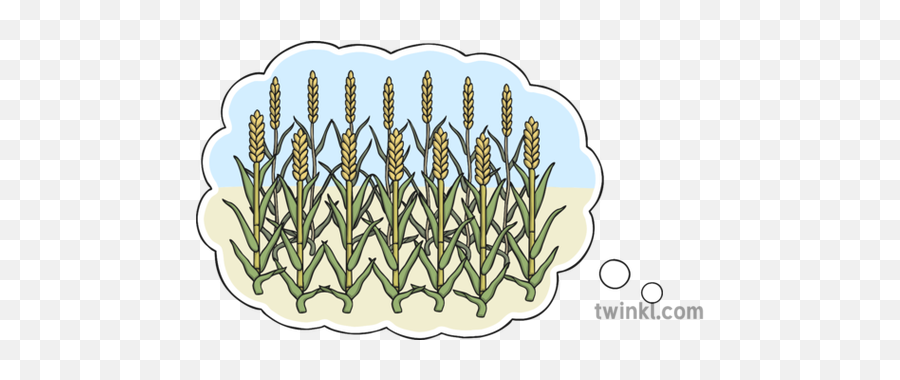 Dream Of Seven Thin Corn Stalks And Fat 1 - Pharaoh Dream Png,Corn Stalk Png